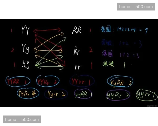 多路机位信号自由组合分发 满足不同地区解说偏好